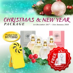 Christmas & New Year Package V